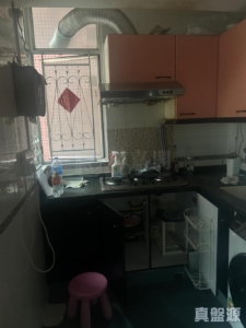 愉景新城 2期 5座 - 28NTS – 香港北部都會區