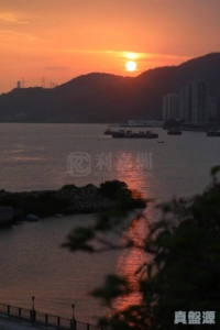 蟠龍半島 - 28NTS – 香港北部都會區