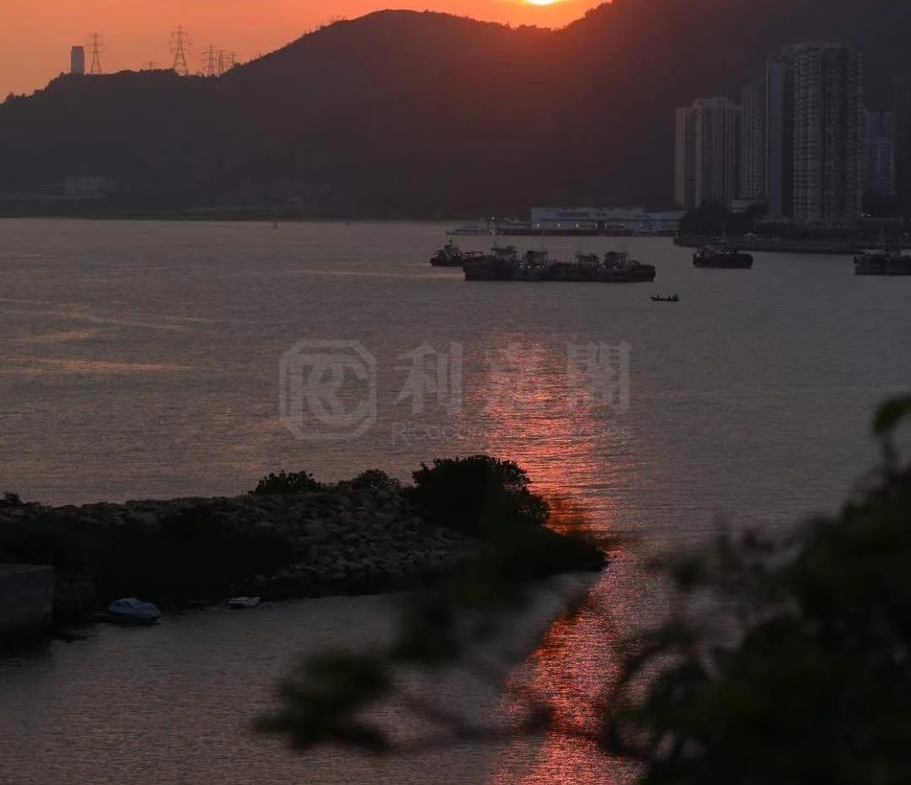 蟠龍半島 - 28NTS – 香港北部都會區