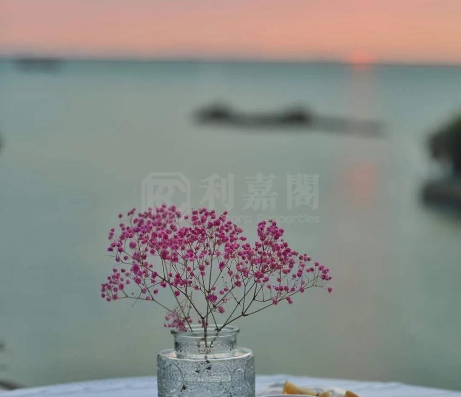 蟠龍半島 - 28NTS – 香港北部都會區