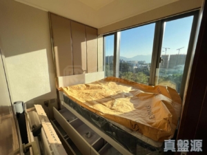 緹岸 2期 3A座 - 28NTS – 香港北部都會區