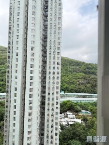 麗城花園 2期 3座 - 28NTS – 香港北部都會區