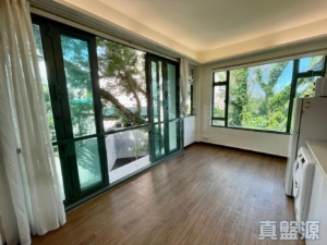 龍珠島別墅 F7座 - 28NTS – 香港北部都會區