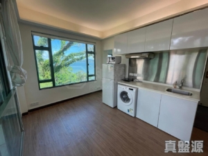 龍珠島別墅 F7座 - 28NTS – 香港北部都會區
