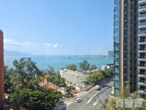 棕月灣 1座 - 28NTS – 香港北部都會區
