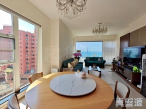 棕月灣 1座 - 28NTS – 香港北部都會區