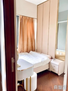 緹岸 1期 1A座 - 28NTS – 香港北部都會區