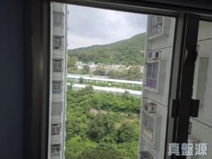 麗城花園 2期 8座 - 28NTS – 香港北部都會區