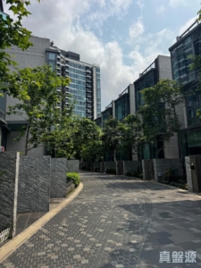 上源 - 28NTS – 香港北部都會區