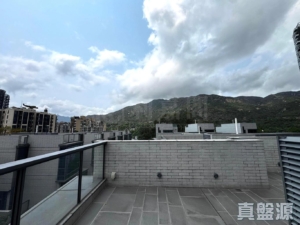 上源 - 28NTS – 香港北部都會區