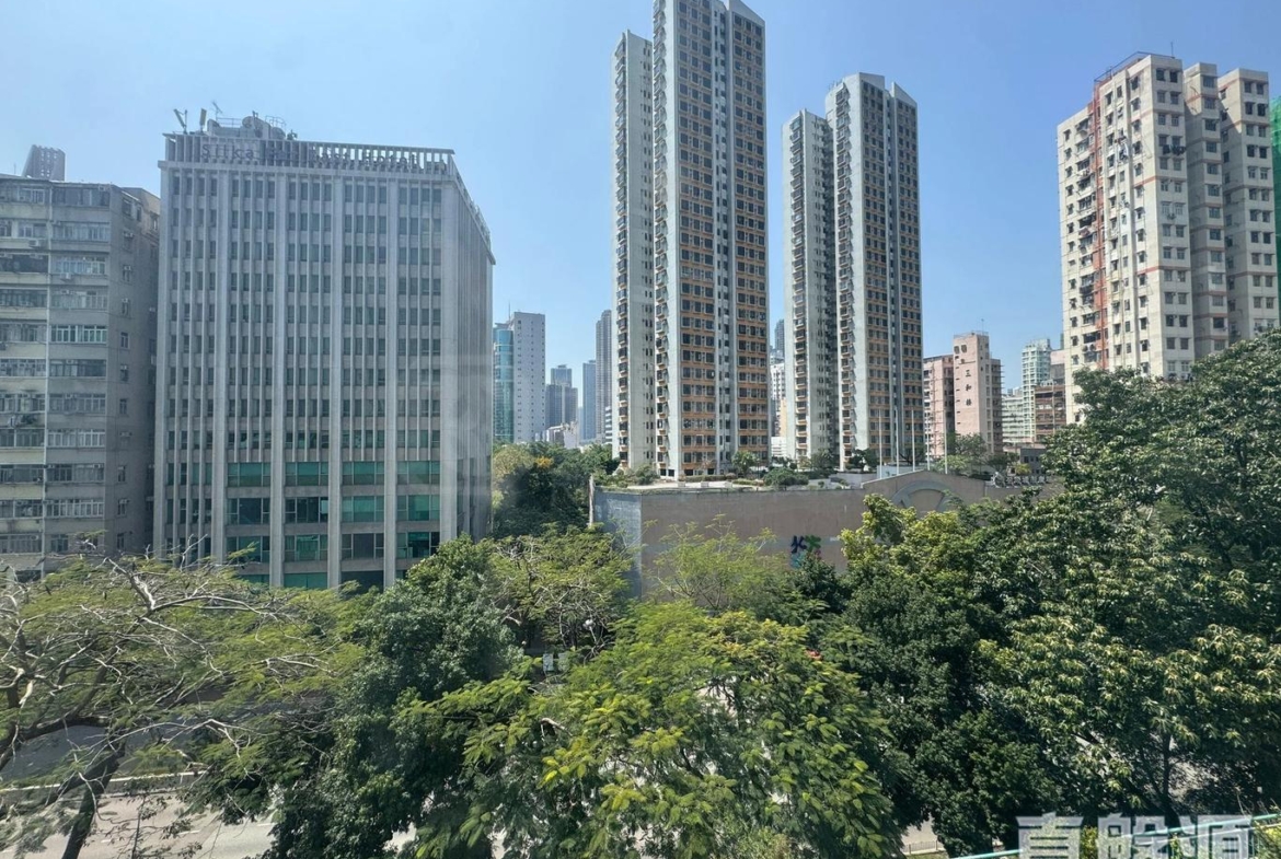 華都中心 - 28NTS – 香港北部都會區