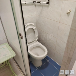 荃勝大廈 - 28NTS – 香港北部都會區