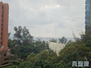 棕月灣 1座 - 28NTS – 香港北部都會區