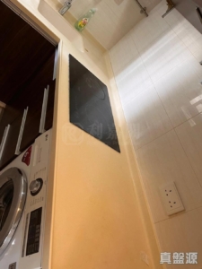 沙田第一城 4期 38座 - 28NTS – 香港北部都會區