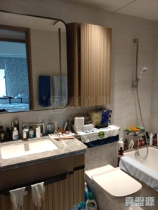 朗濤 6A座 - 28NTS – 香港北部都會區
