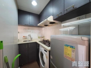 偉華中心 2座 - 28NTS – 香港北部都會區