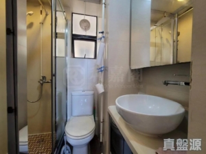偉華中心 2座 - 28NTS – 香港北部都會區