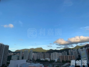 偉華中心 4座 - 28NTS – 香港北部都會區