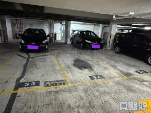河畔花園 車位 - 28NTS – 香港北部都會區