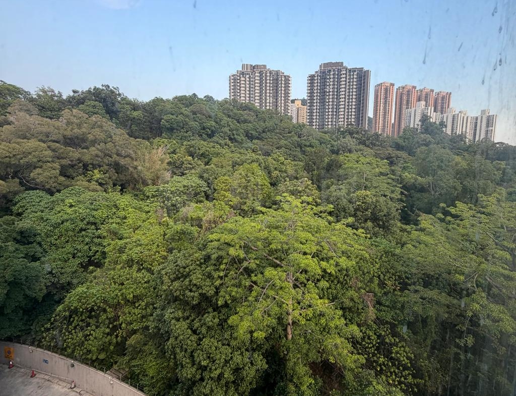 彩暉花園 A座 - 28NTS – 香港北部都會區