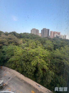彩暉花園 A座 - 28NTS – 香港北部都會區