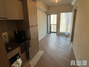 柏傲莊 2期 6座 (6B) - 28NTS – 香港北部都會區
