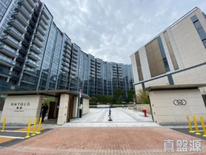 朗濤 8B座 - 28NTS – 香港北部都會區