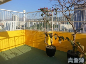 金禧花園 6座 - 28NTS – 香港北部都會區