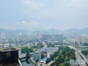 星凱．堤岸 2座 - 28NTS – 香港北部都會區