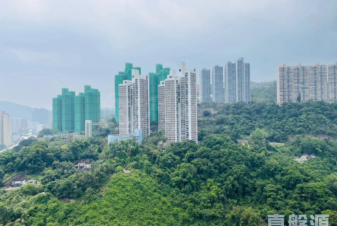 星凱．堤岸 2座 - 28NTS – 香港北部都會區