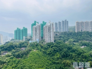 星凱．堤岸 2座 - 28NTS – 香港北部都會區
