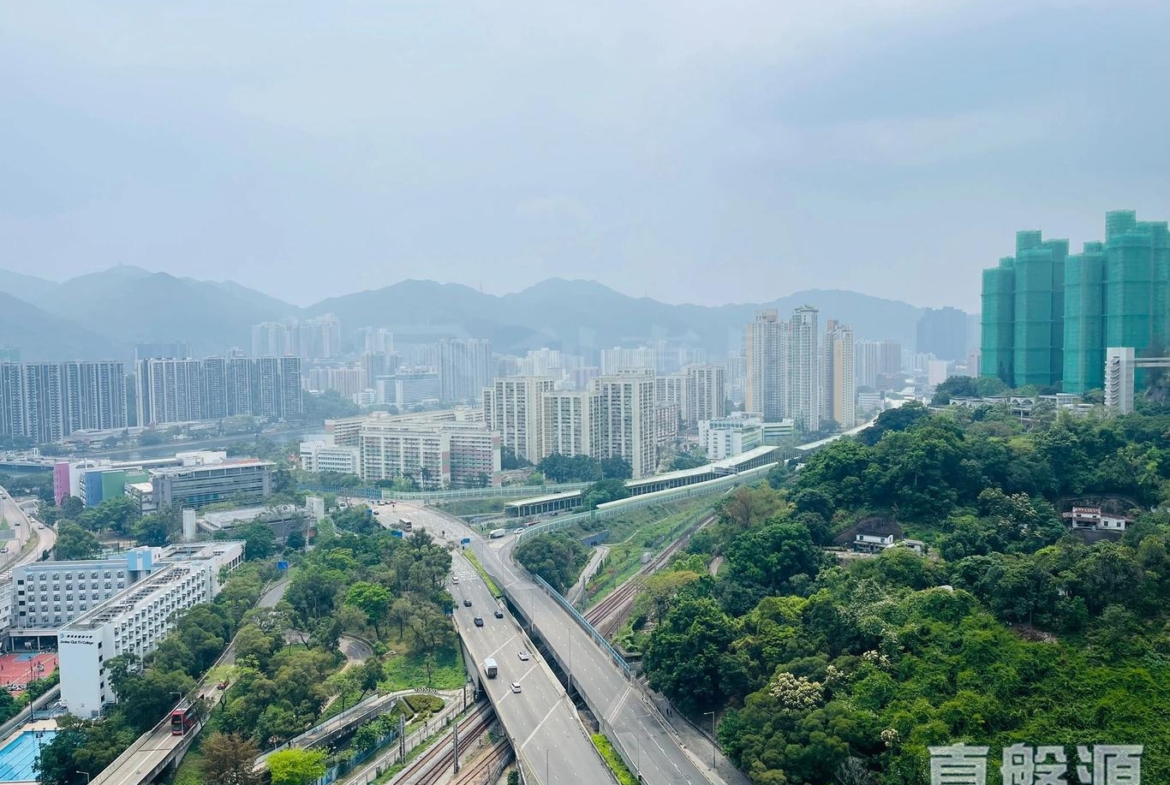 星凱．堤岸 2座 - 28NTS – 香港北部都會區
