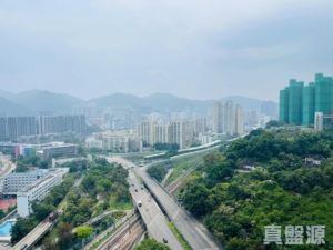 星凱．堤岸 2座 - 28NTS – 香港北部都會區