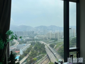 星凱．堤岸 2座 - 28NTS – 香港北部都會區