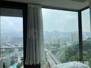 星凱．堤岸 2座 - 28NTS – 香港北部都會區