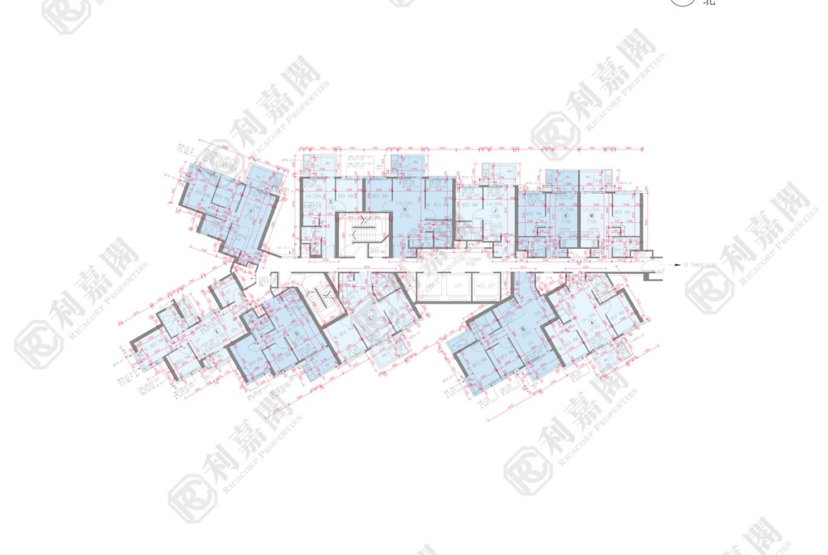 黃金海灣 2期 珀岸 1座 (1B) - 28NTS – 香港北部都會區