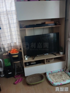 屯門小坑村 47號 - 28NTS – 香港北部都會區