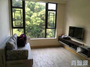 大埔寶馬山 7座 - 28NTS – 香港北部都會區