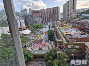 沙田中心 嘉寧大廈 (F座) - 28NTS – 香港北部都會區