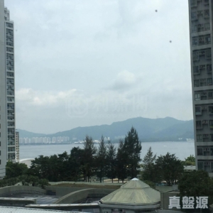 新港城 4期 E座 - 28NTS – 香港北部都會區