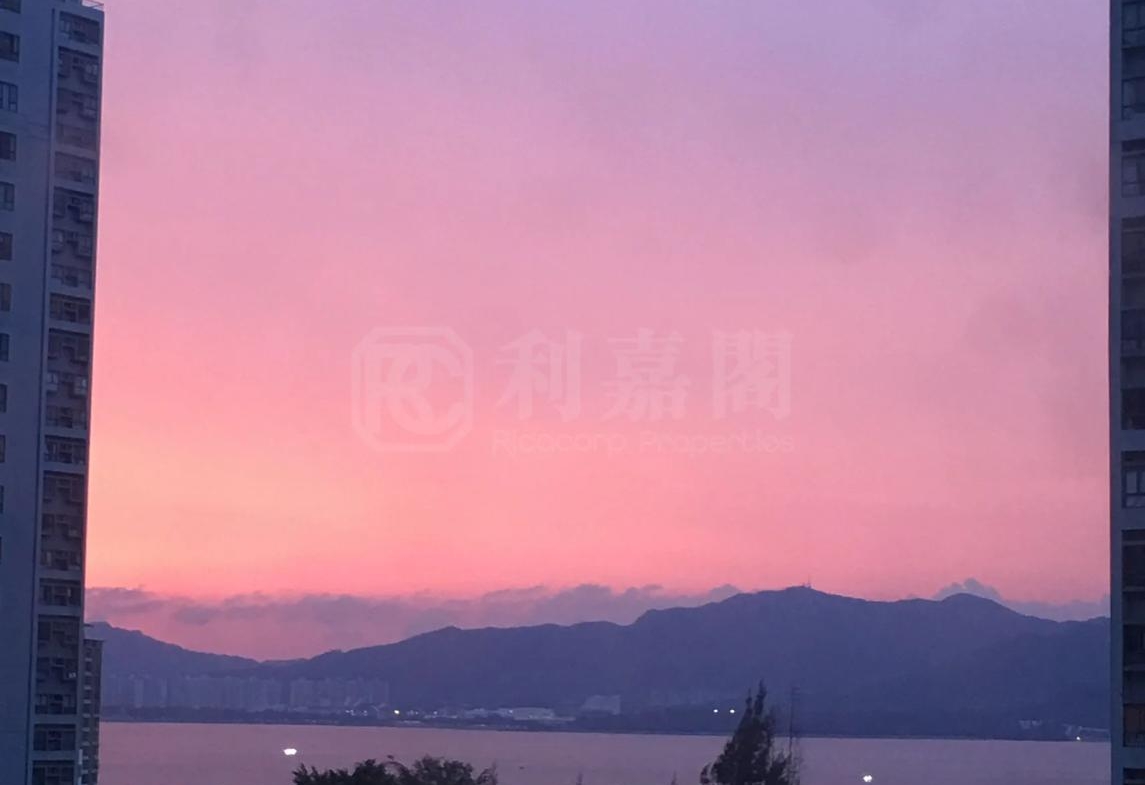 新港城 4期 E座 - 28NTS – 香港北部都會區
