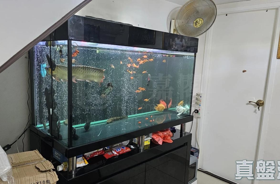 水蕉新村 202號 - 28NTS – 香港北部都會區