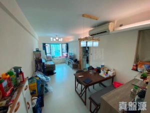 盈翠半島 1期 6座 - 28NTS – 香港北部都會區