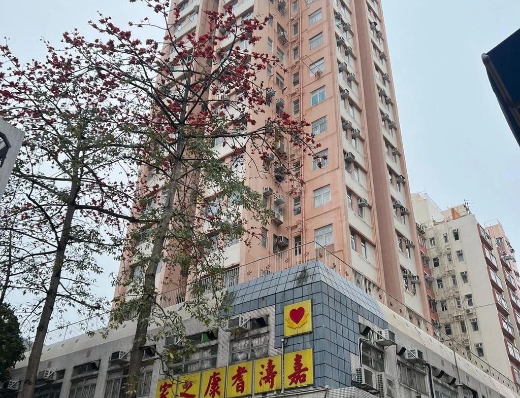 東威閣 - 28NTS – 香港北部都會區