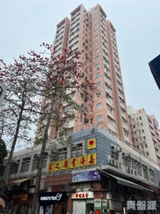 東威閣 - 28NTS – 香港北部都會區