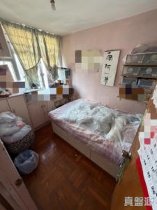 兆邦苑 - 28NTS – 香港北部都會區