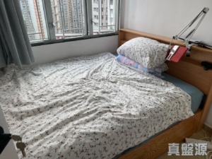 長安邨 安潤樓 (9座) - 28NTS – 香港北部都會區