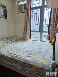 青俊苑 B座 (俊豪閣) - 28NTS – 香港北部都會區