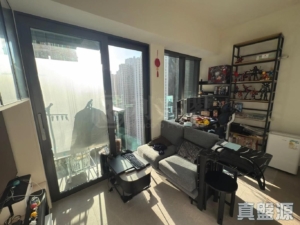 YOHO WEST 1期 3B座 - 28NTS – 香港北部都會區