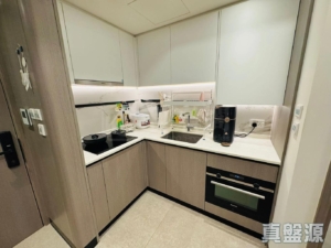 NOVO LAND 2B期 Arreso 1B座 - 28NTS – 香港北部都會區